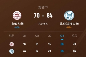 南安普顿2017英超