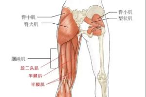 耐克足球鞋毒蜂一代